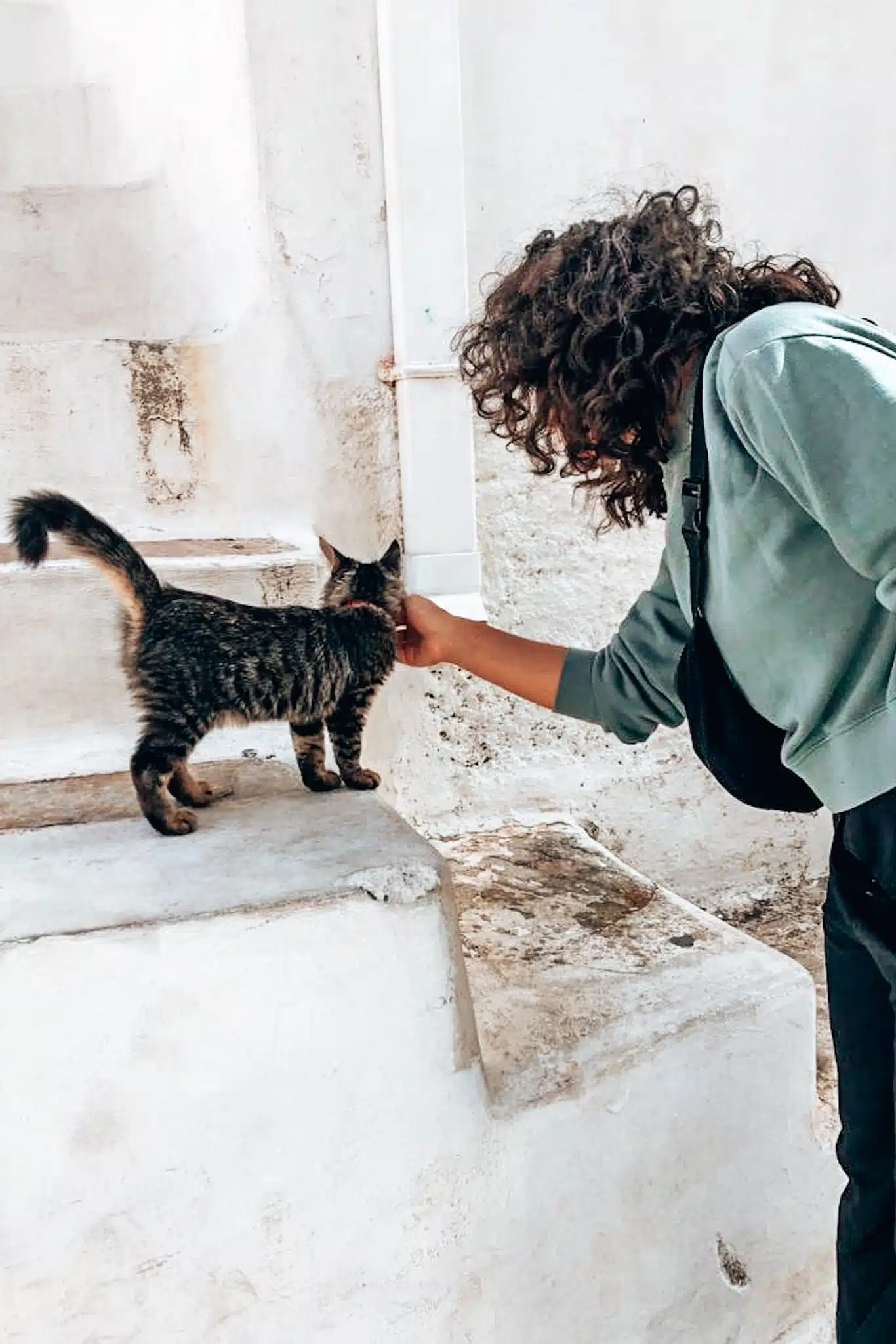 Strays on quiet Greek islands / Cats during Cyclades island hopping /Katzen beim Kykladen Inselhopping