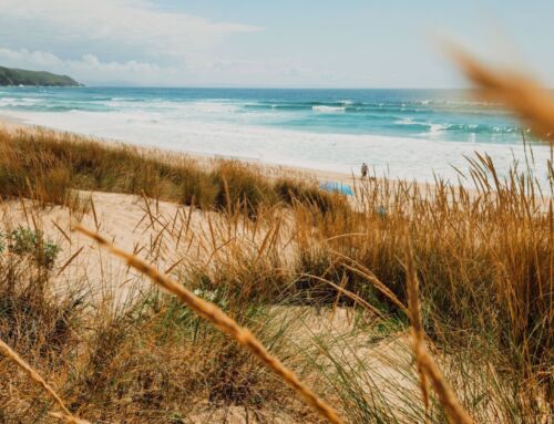 NORDSPANIEN ROADTRIP | Ein Traum entlang der unberührten Atlantikküste