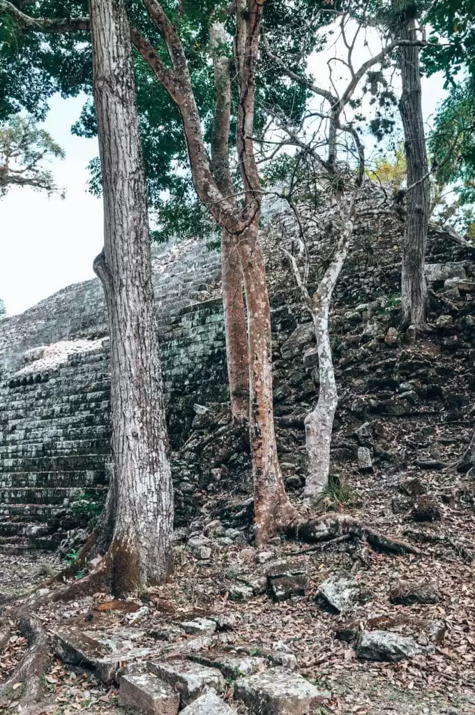 Copan Ruins, Honduras can't be missed when backpacking in Central America / die Copan Ruinen gehören zu den besten Mittelamerika Reisetipps für Geschichtsfans