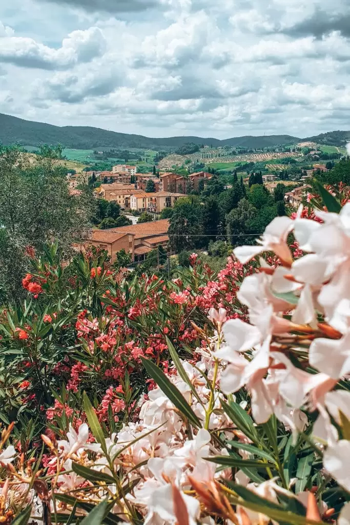 Tuscany lanscape views
