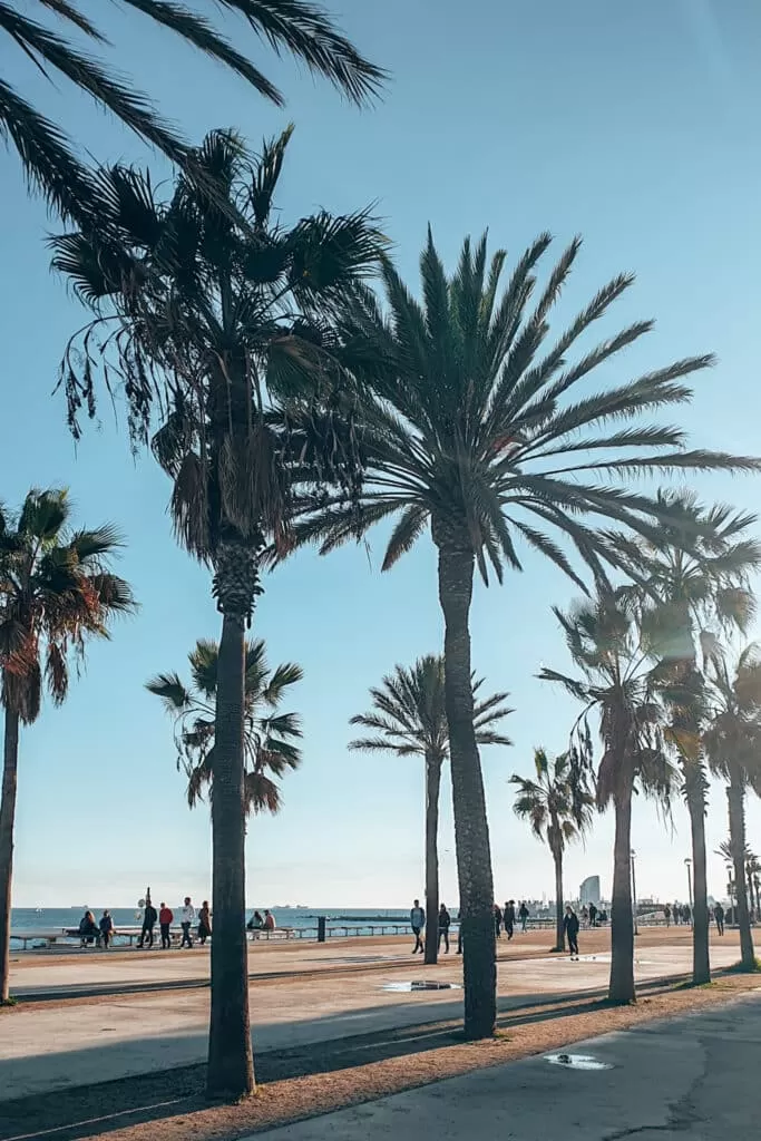 Hidden gem beaches in Barcelona, Unter den Stränden gibt's einige Insidertipps in Barcelona